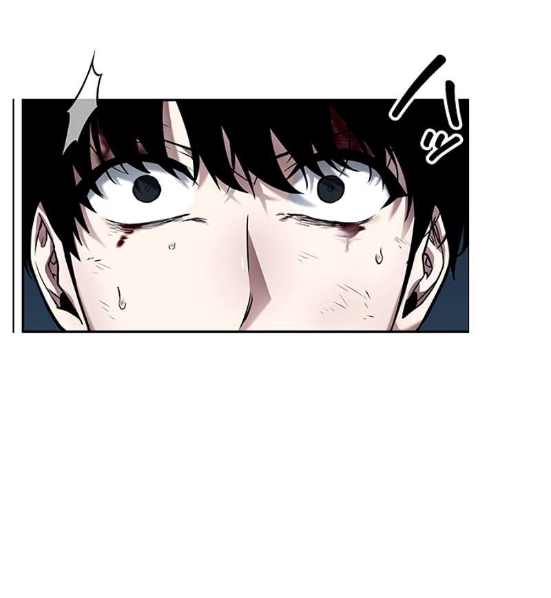 P58