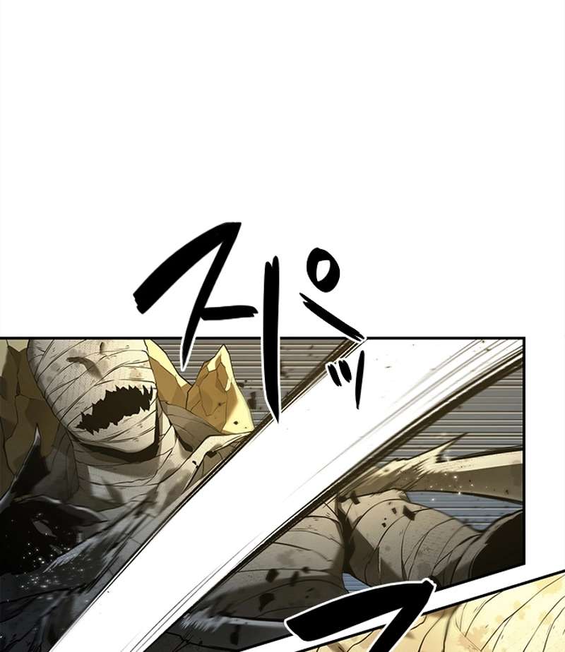 P63