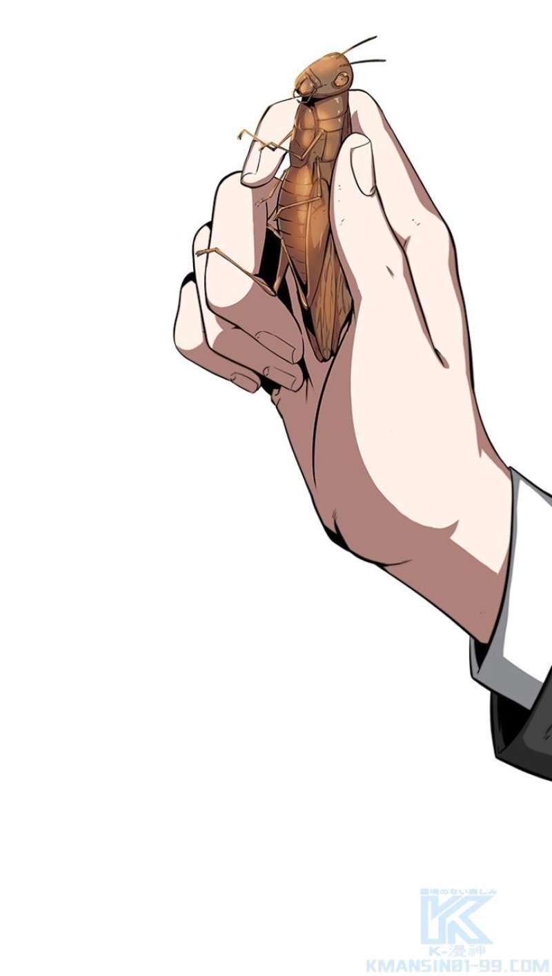 P44