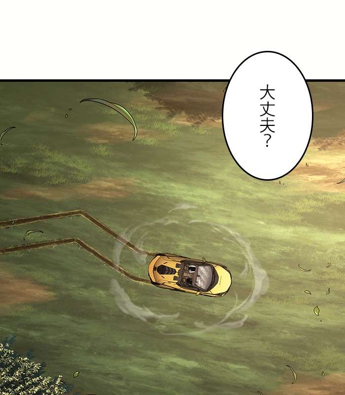 P113