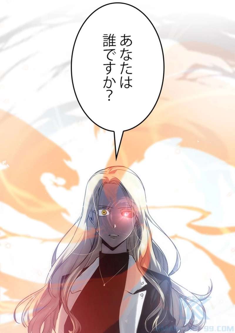 P53