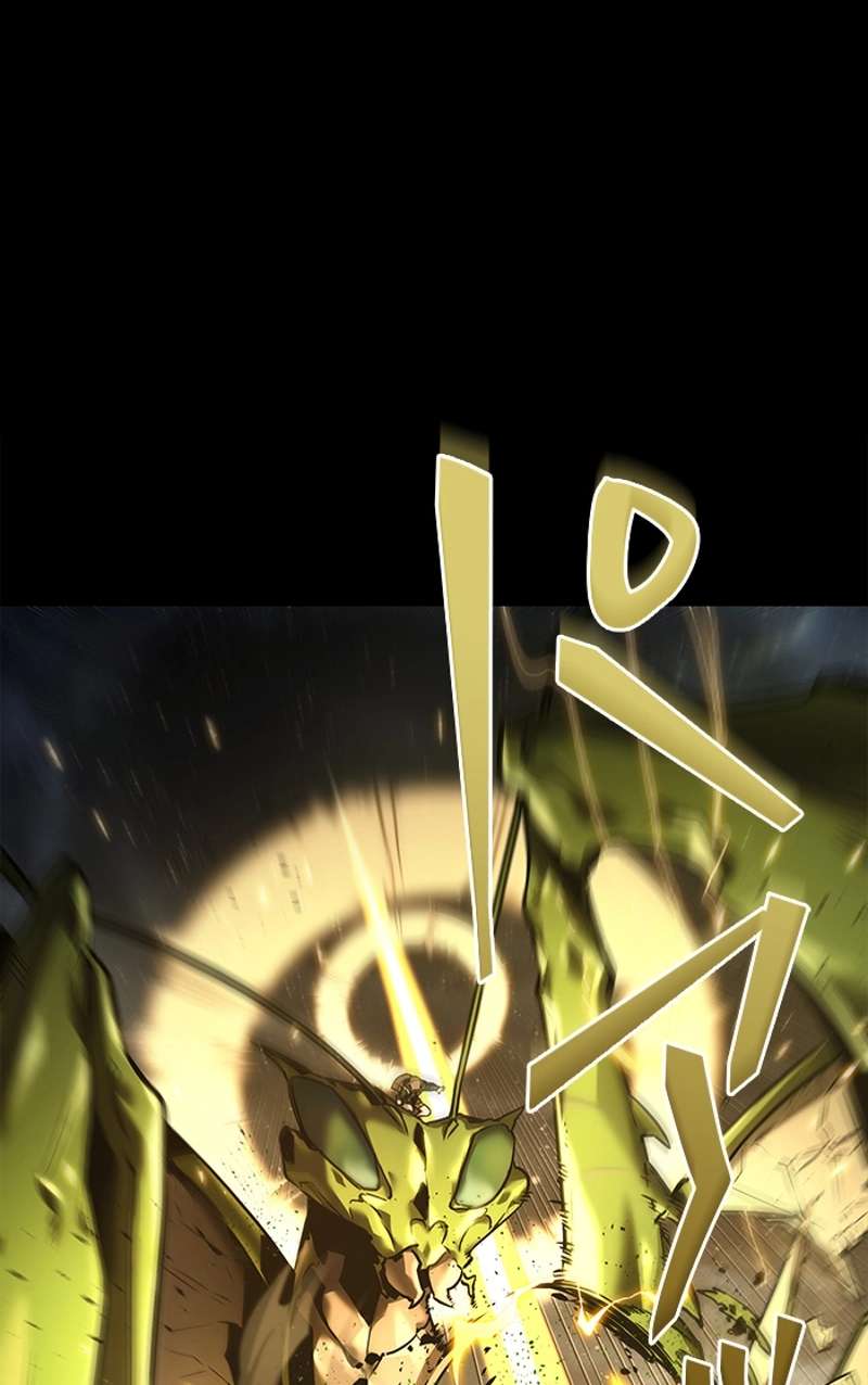 P43