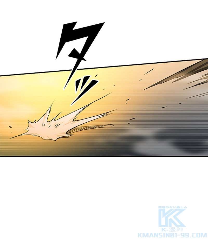 P113