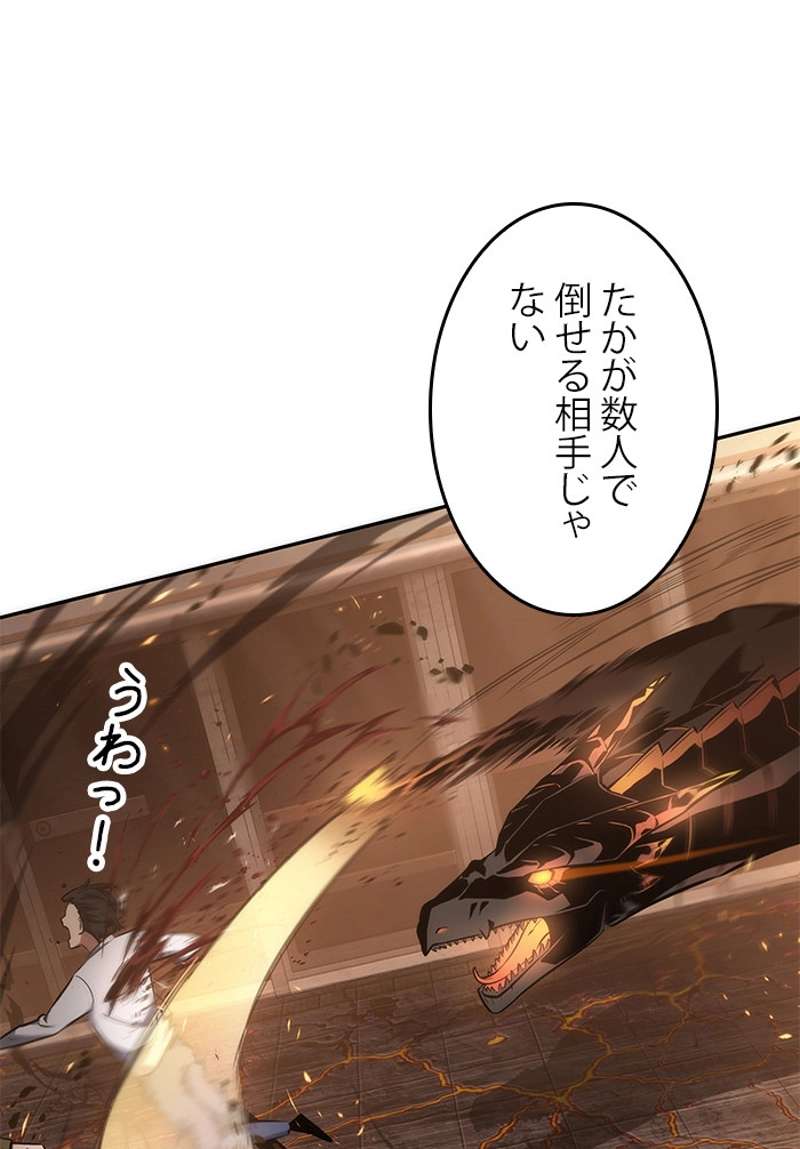 P66