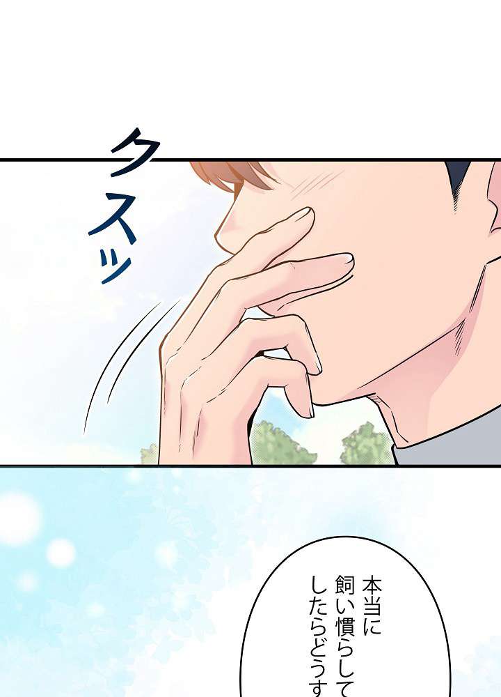 P63