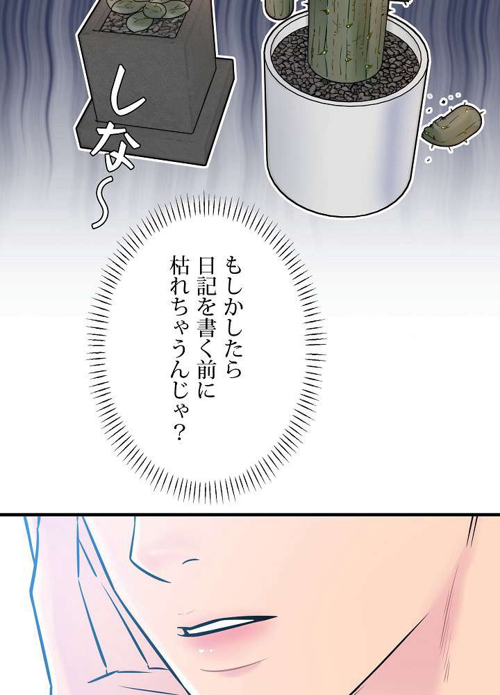 P81
