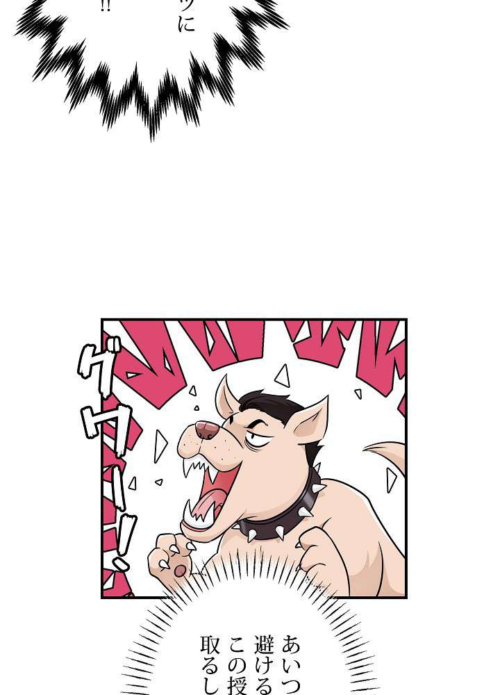 P62