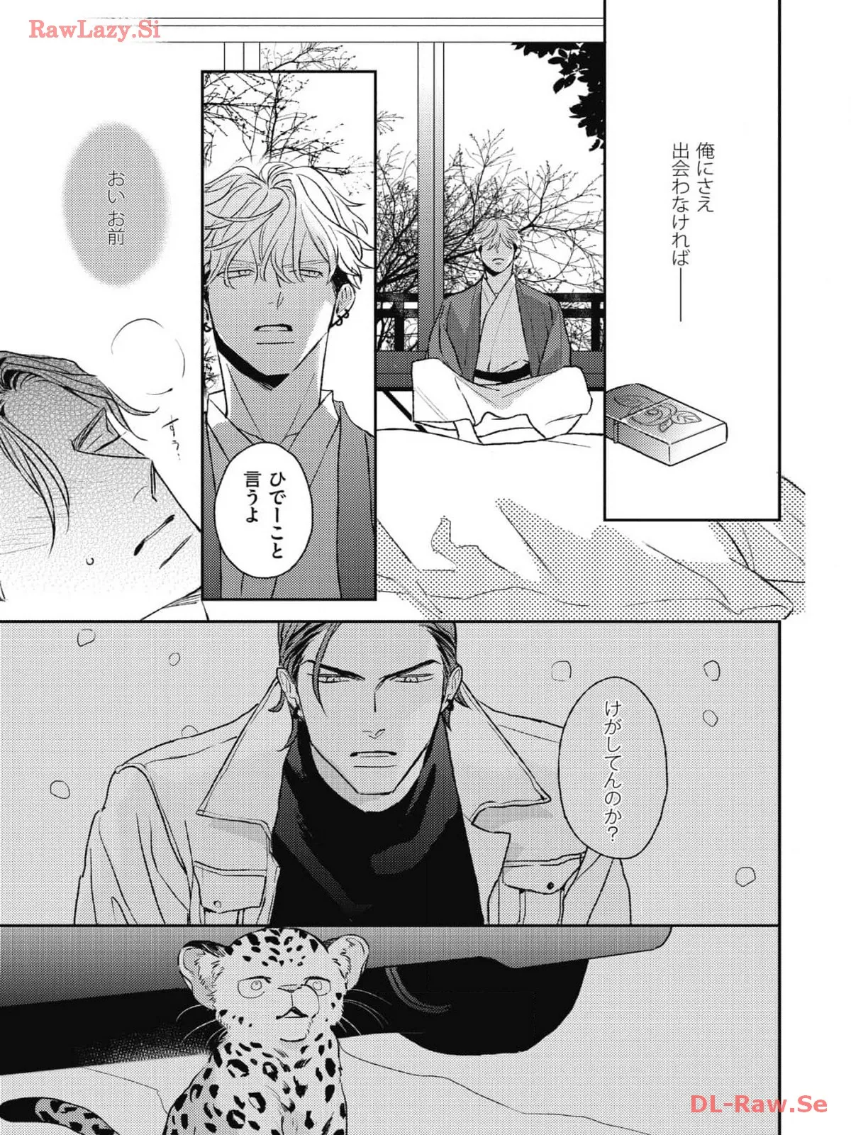 P29