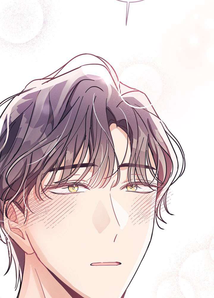 P84