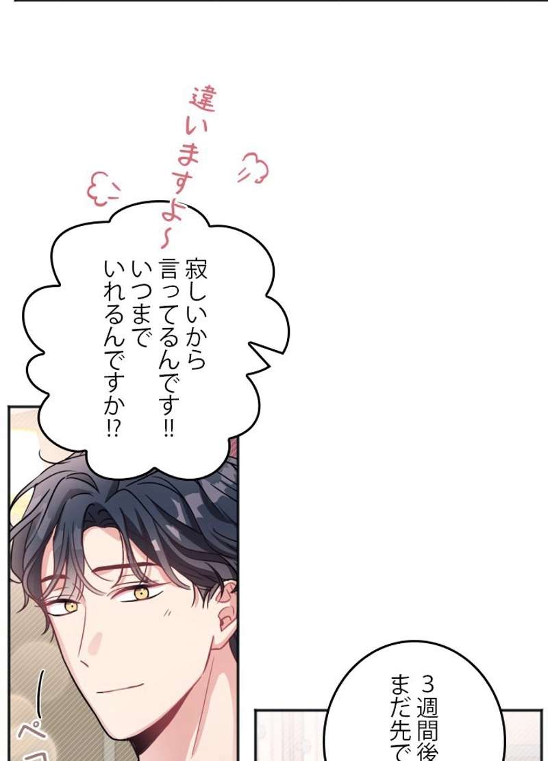 P65