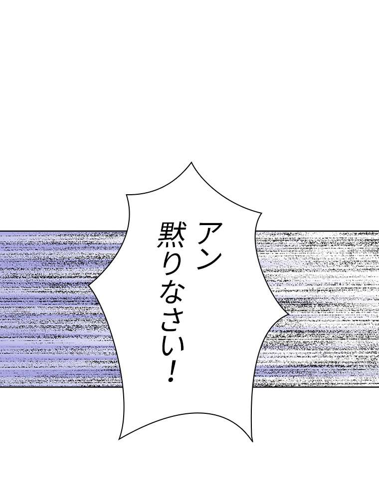 P113