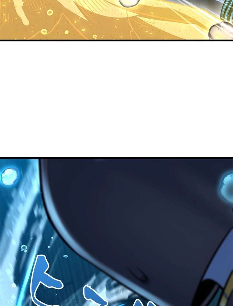 P66