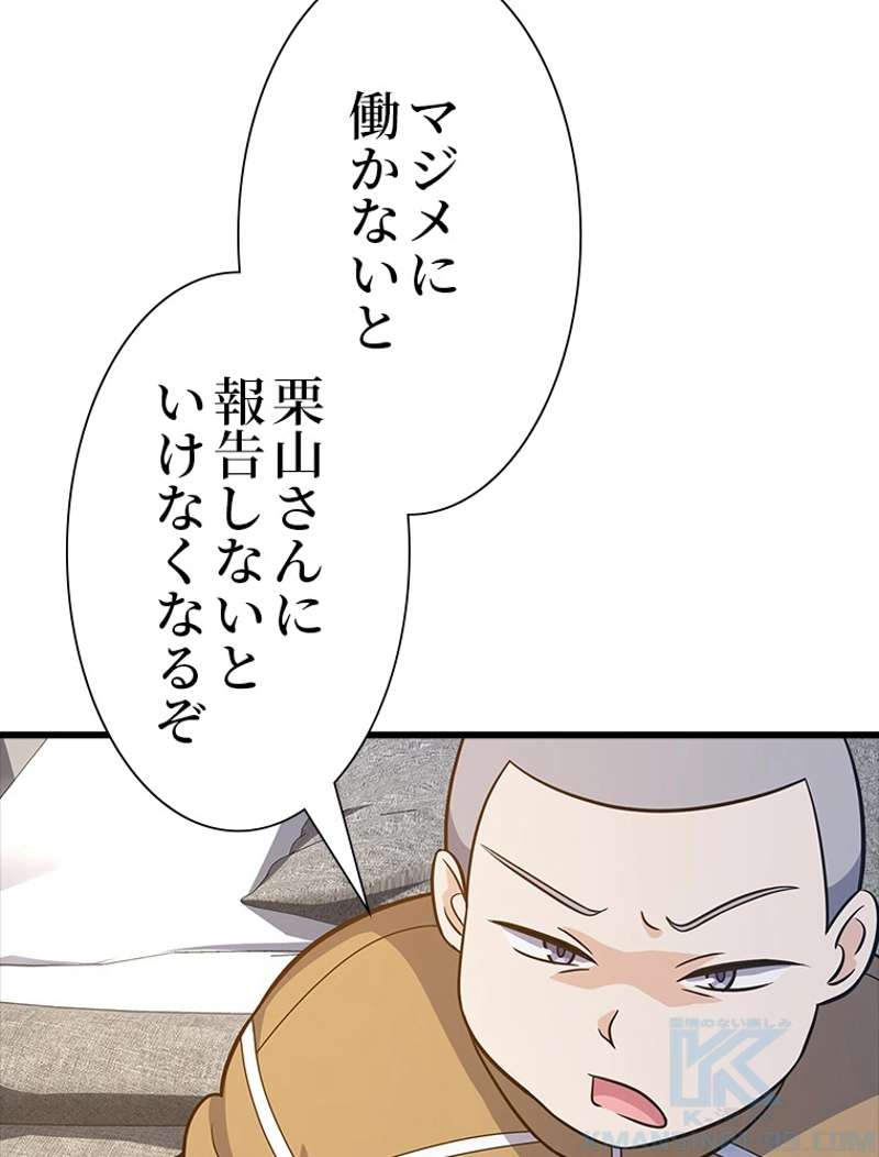 P61