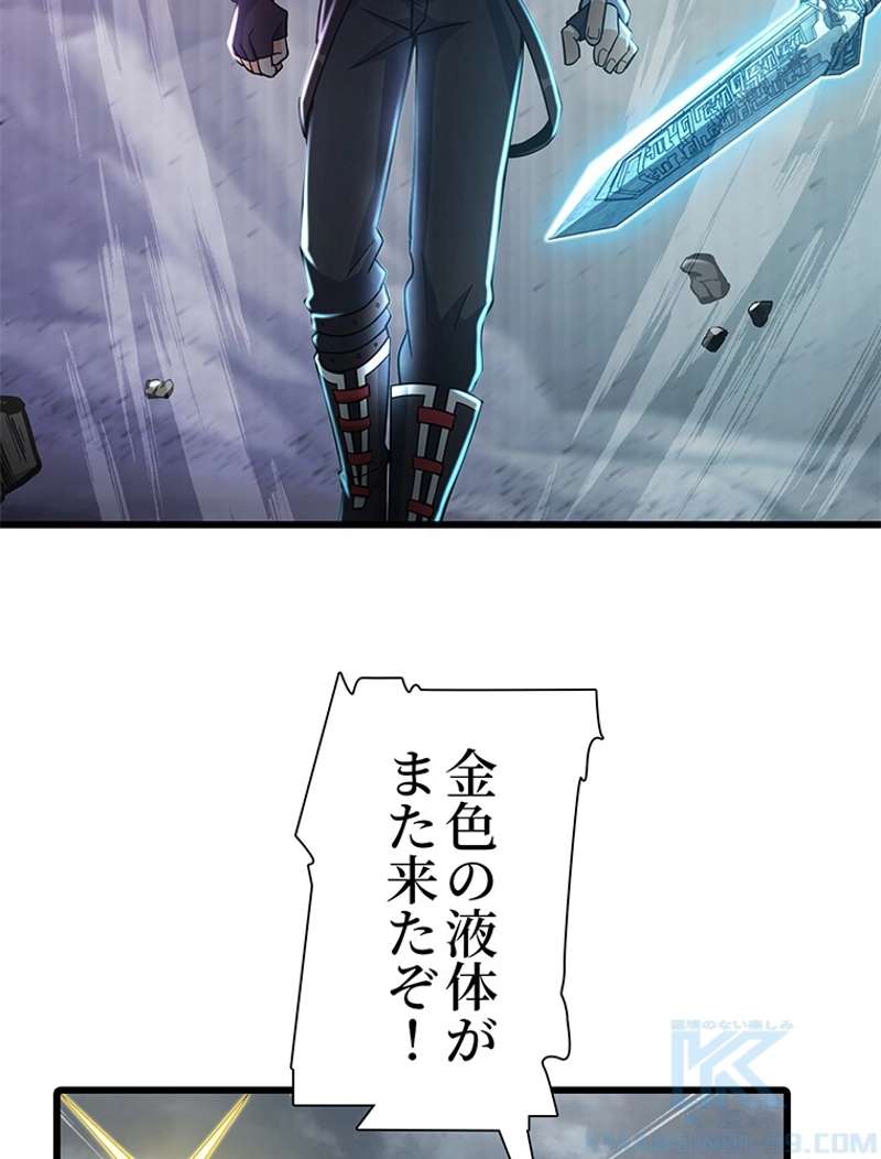 P58