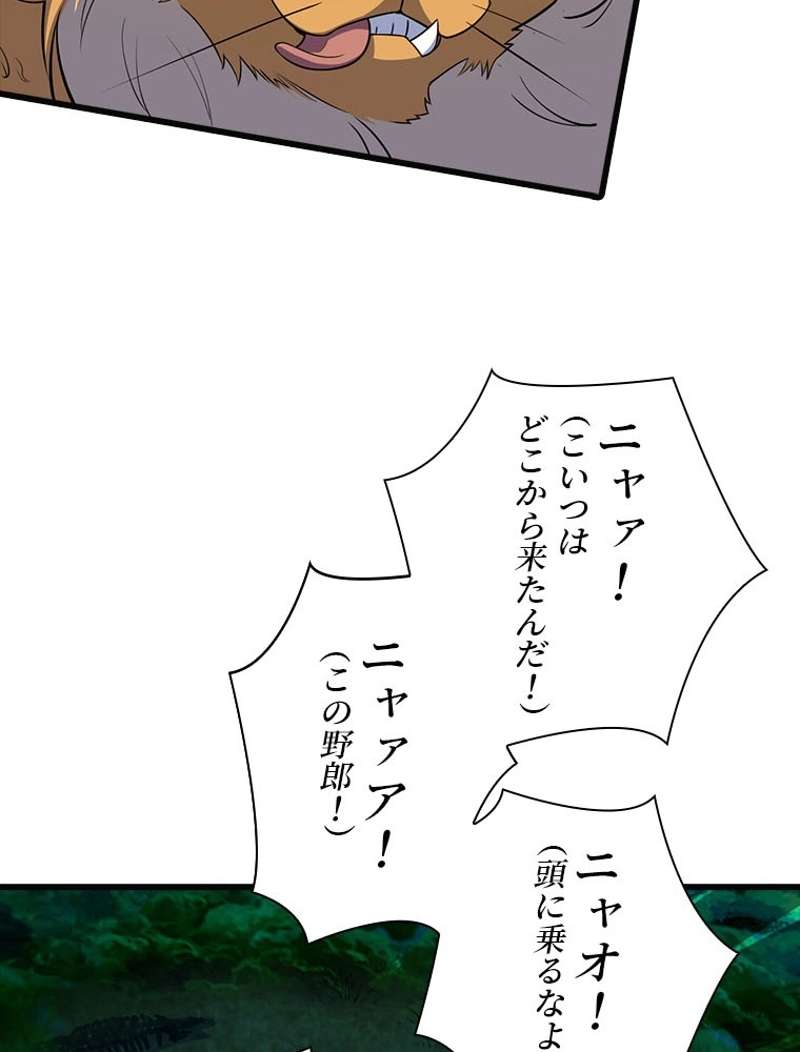P63
