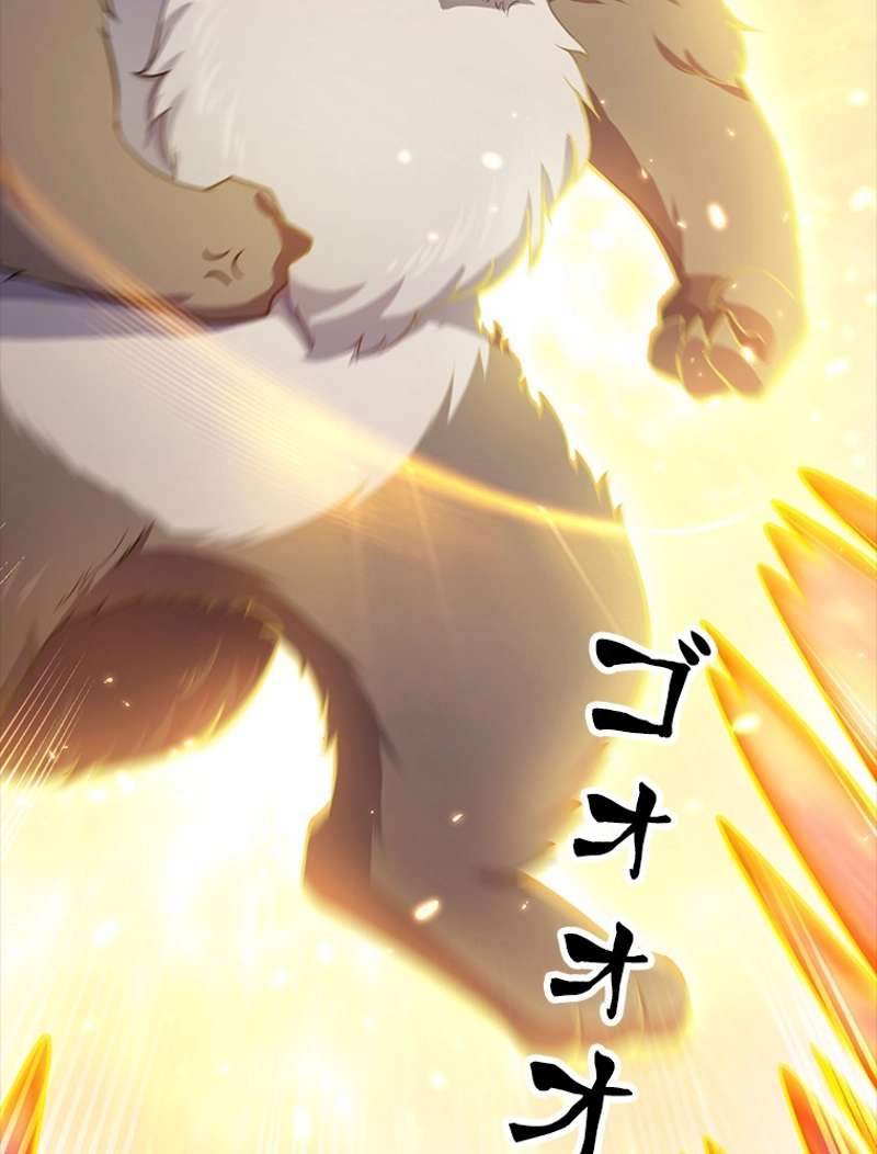 P60