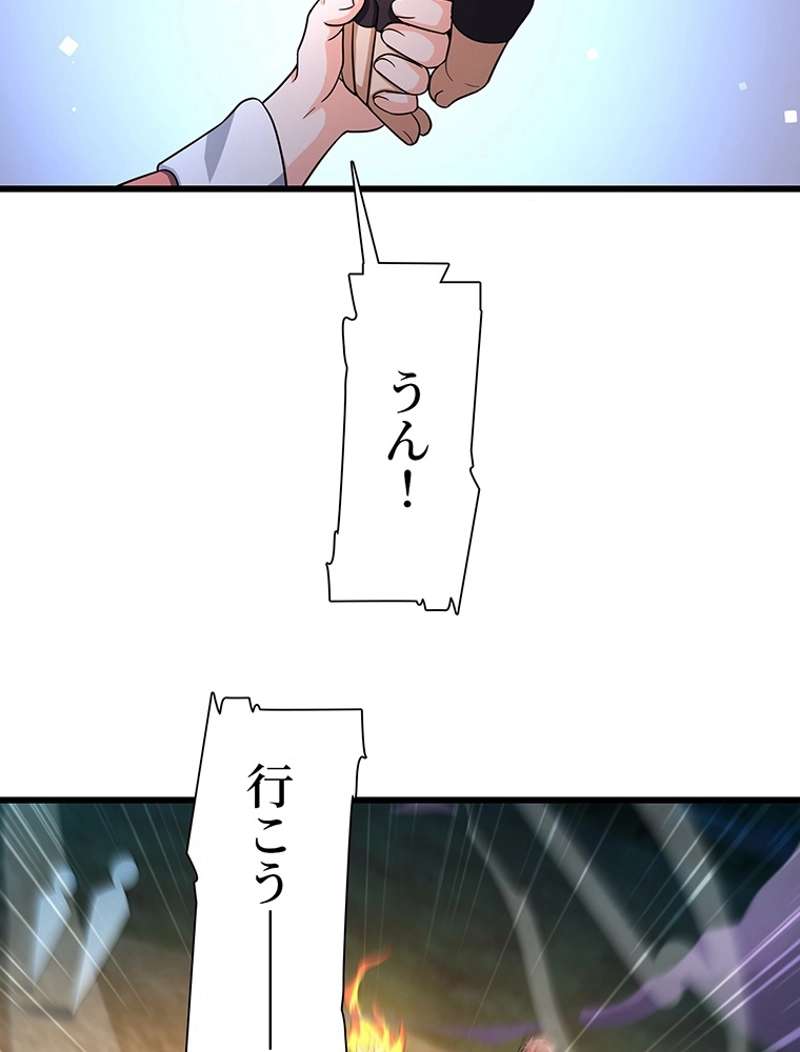 P66