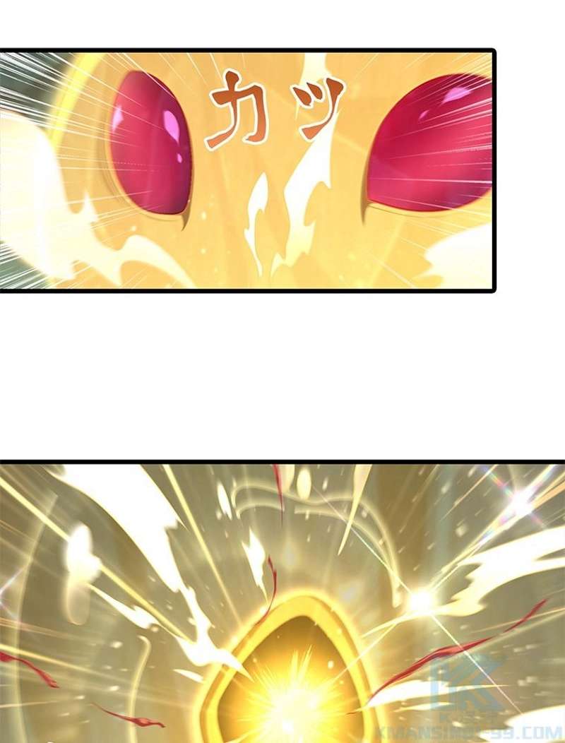 P61