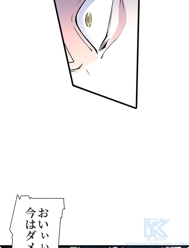 P58