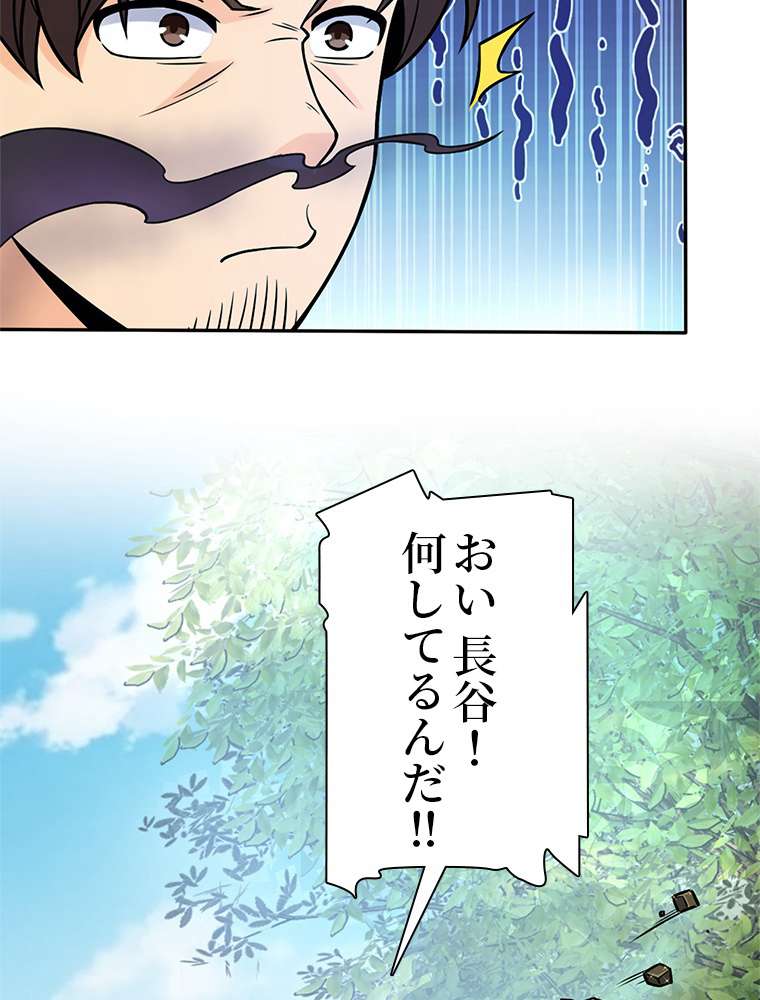 P66