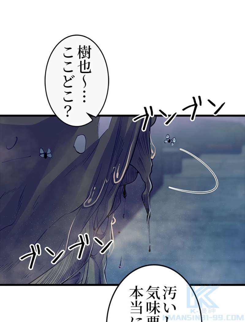 P58