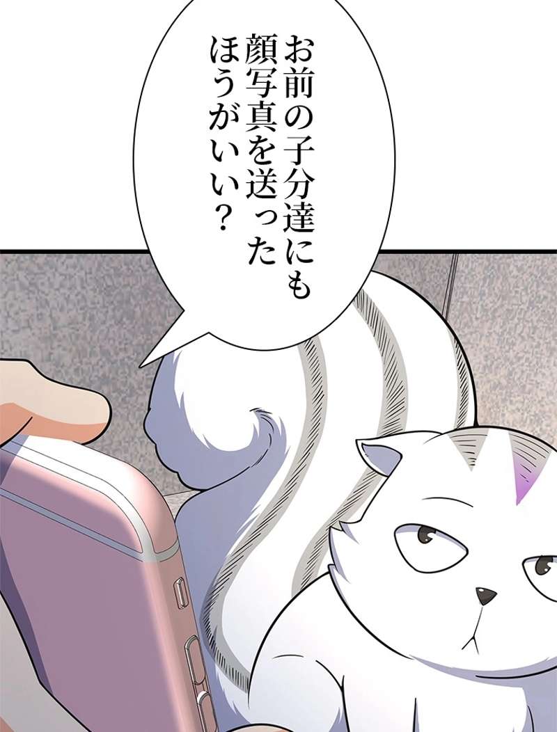 P62