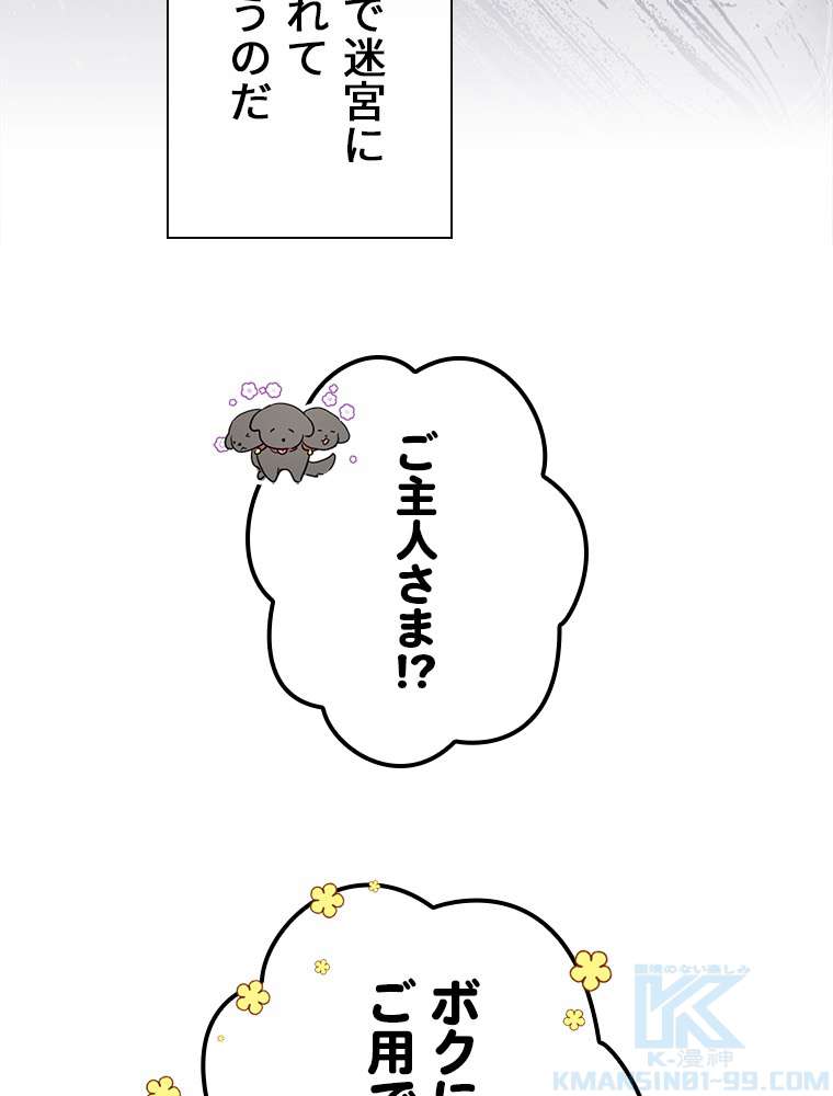 P88