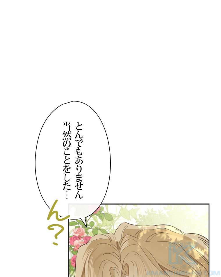 P58