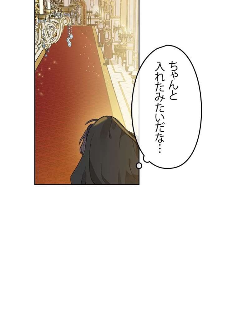 P61