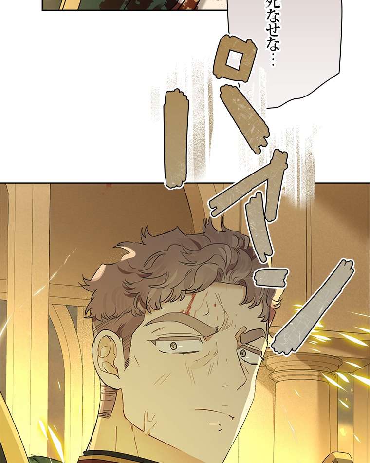 P41