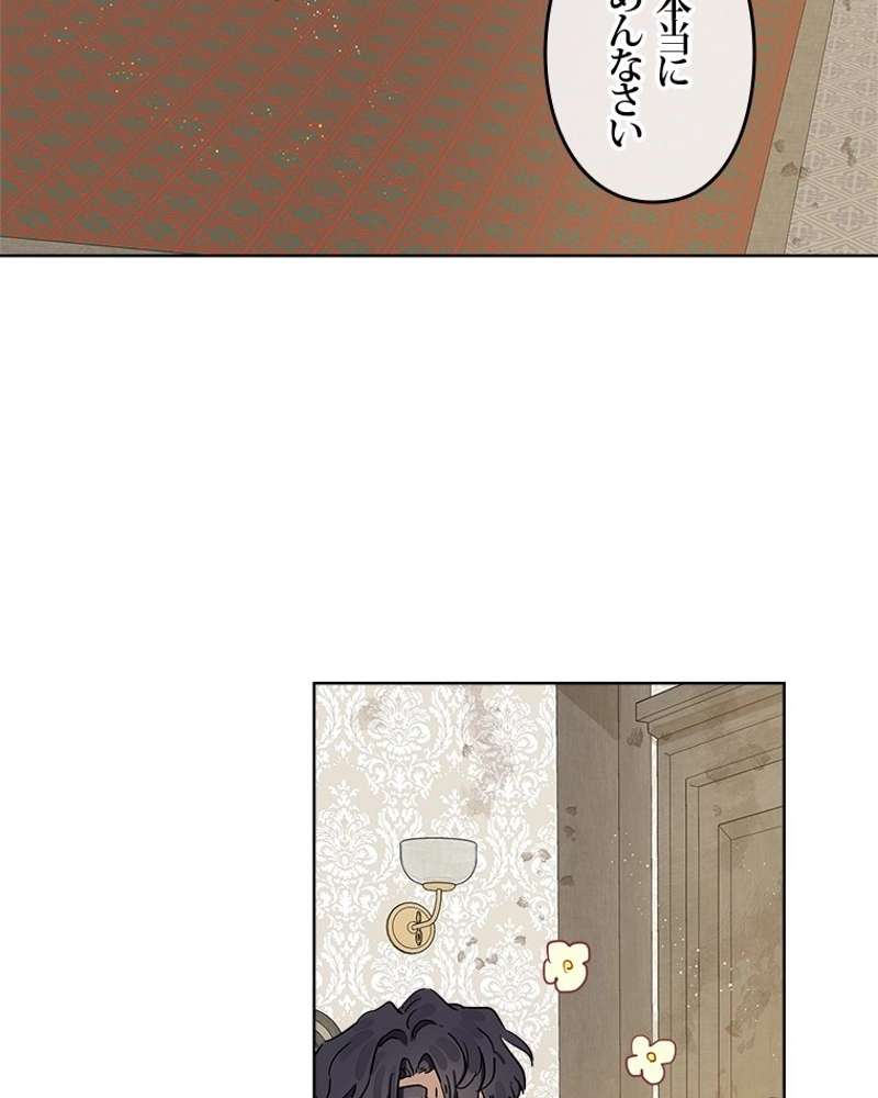 P63