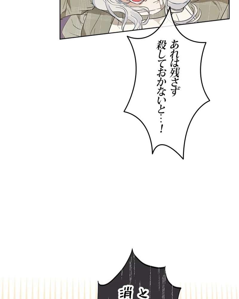 P66
