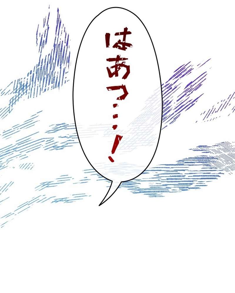 P66