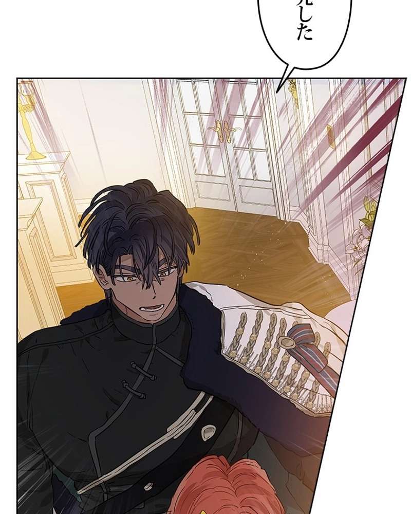 P63