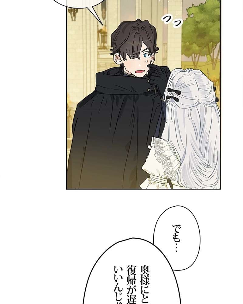 P65