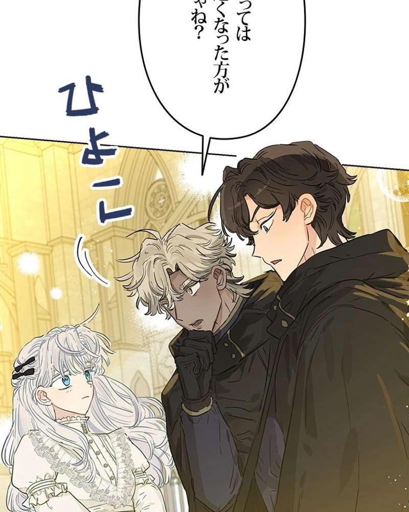 P66