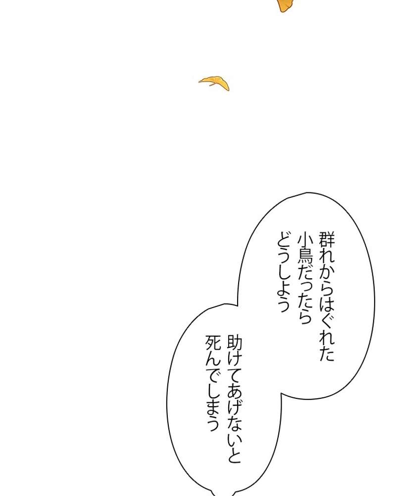 P81