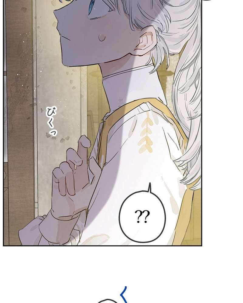 P97