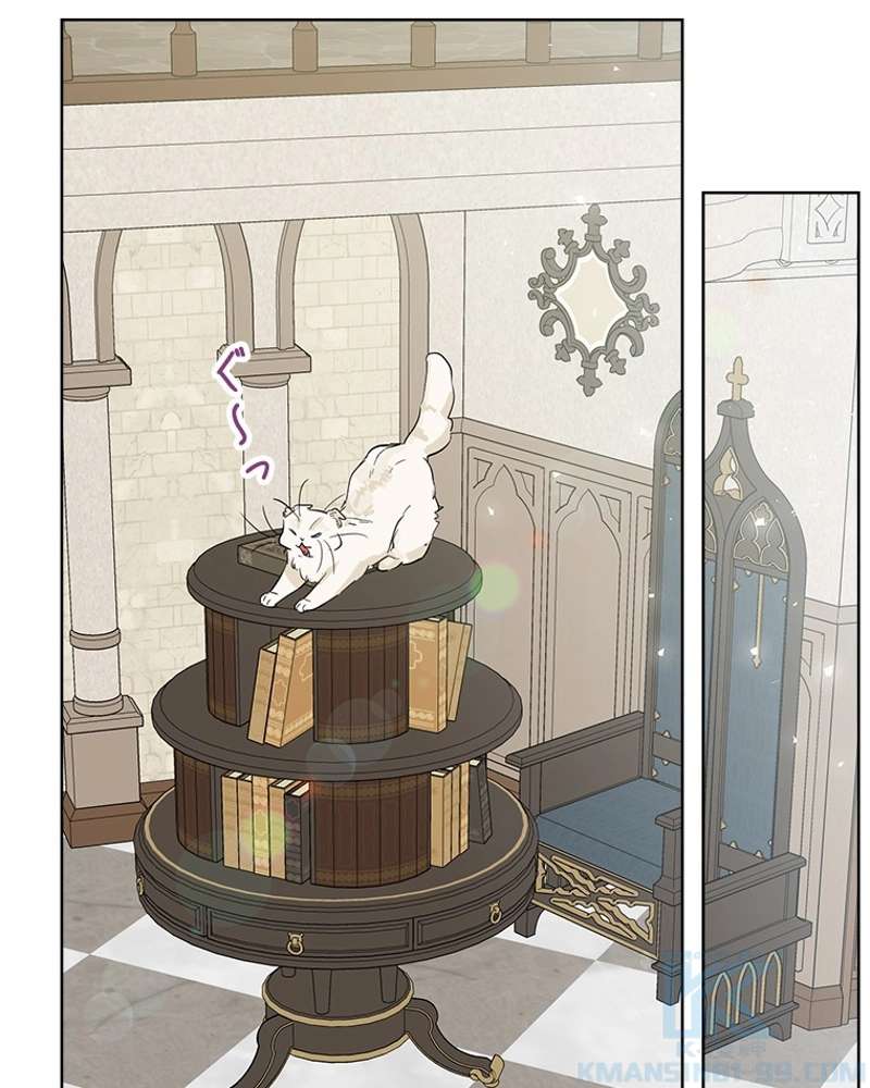 P61