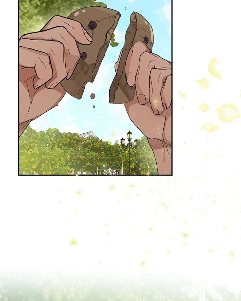 P66