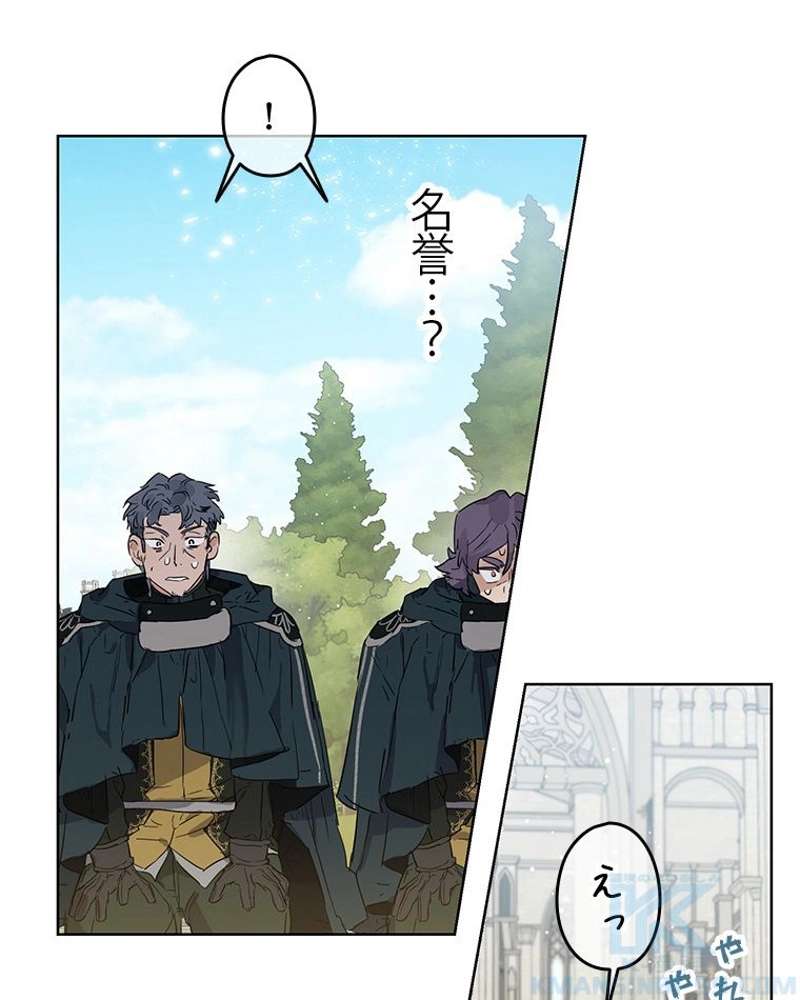 P53