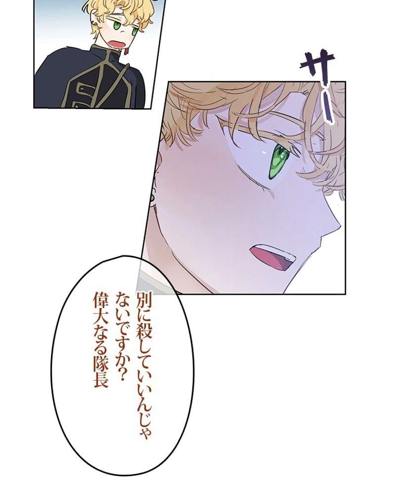 P61