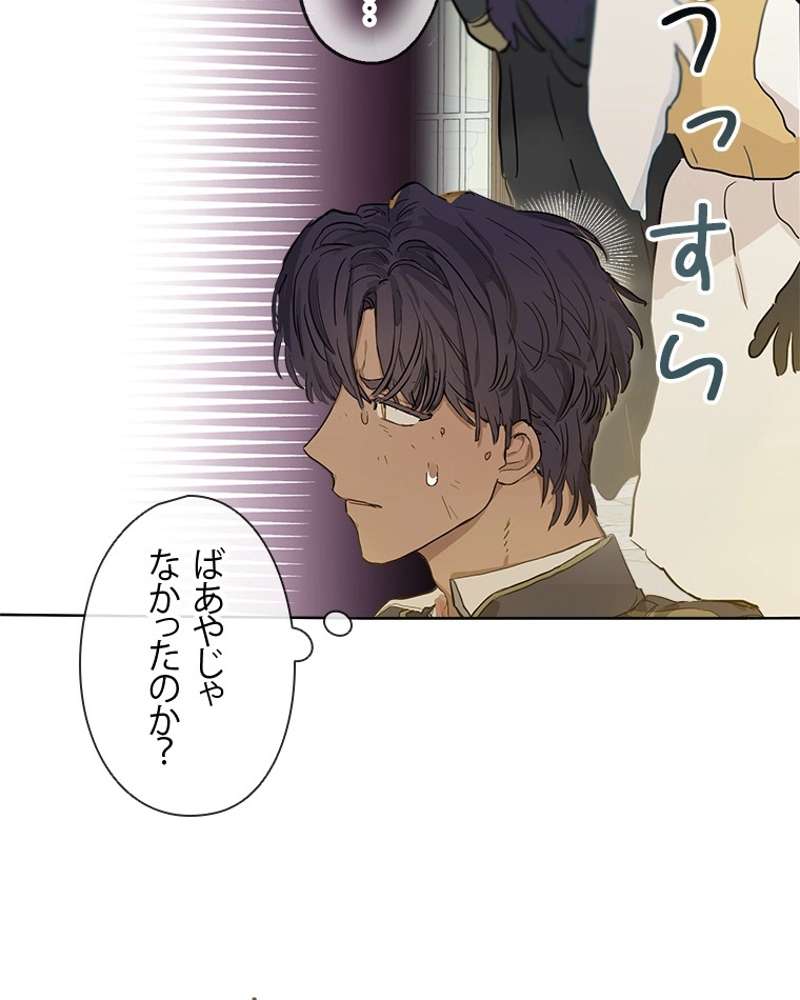 P61