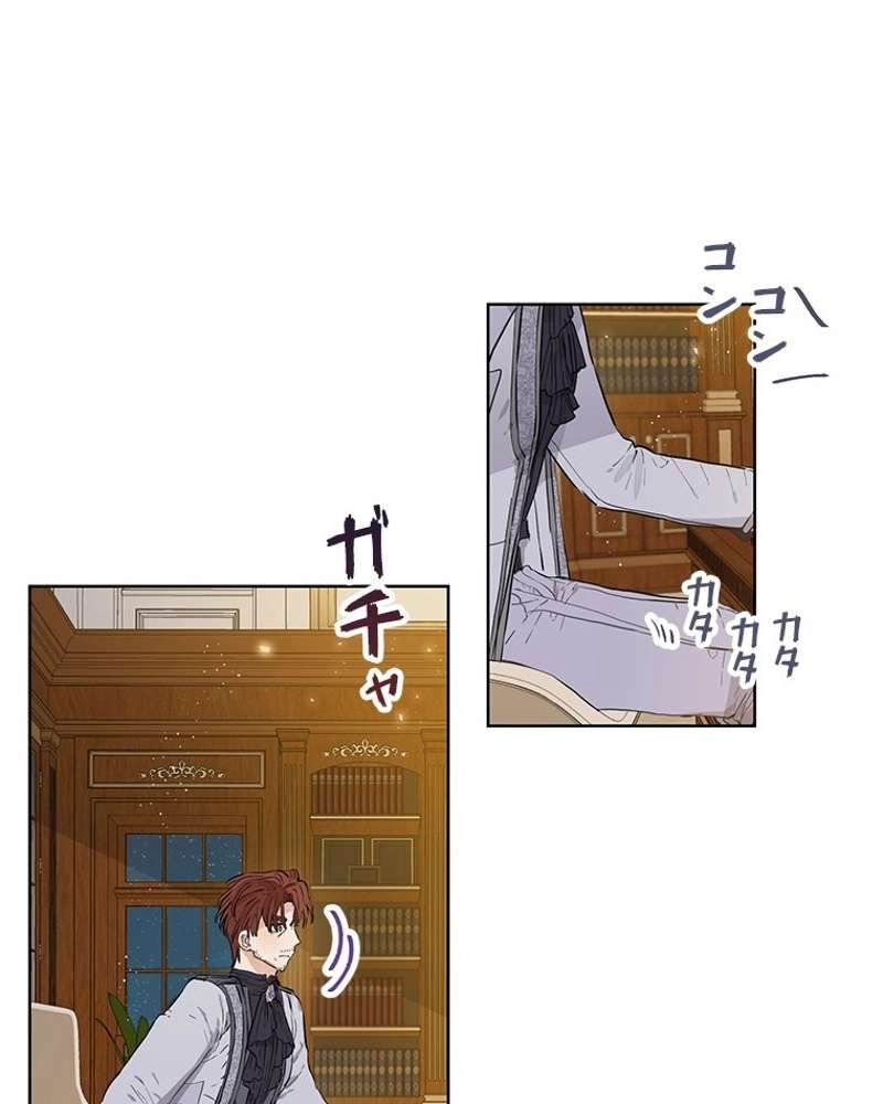 P66
