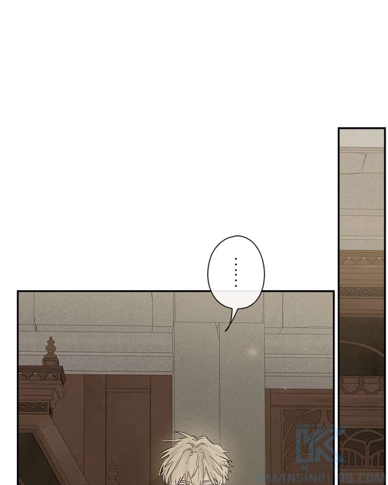 P46