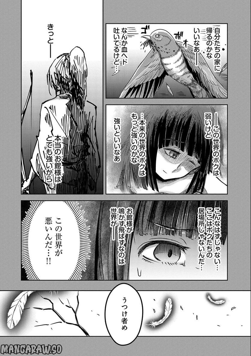 P26