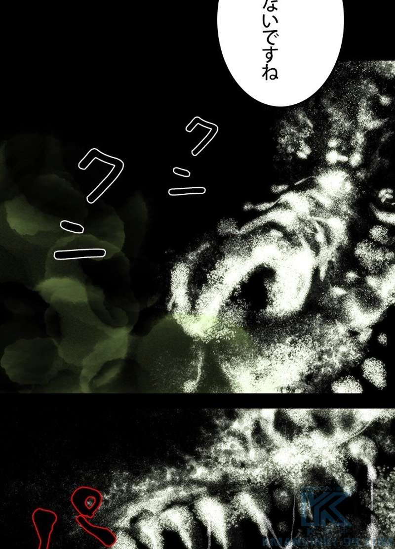 P43