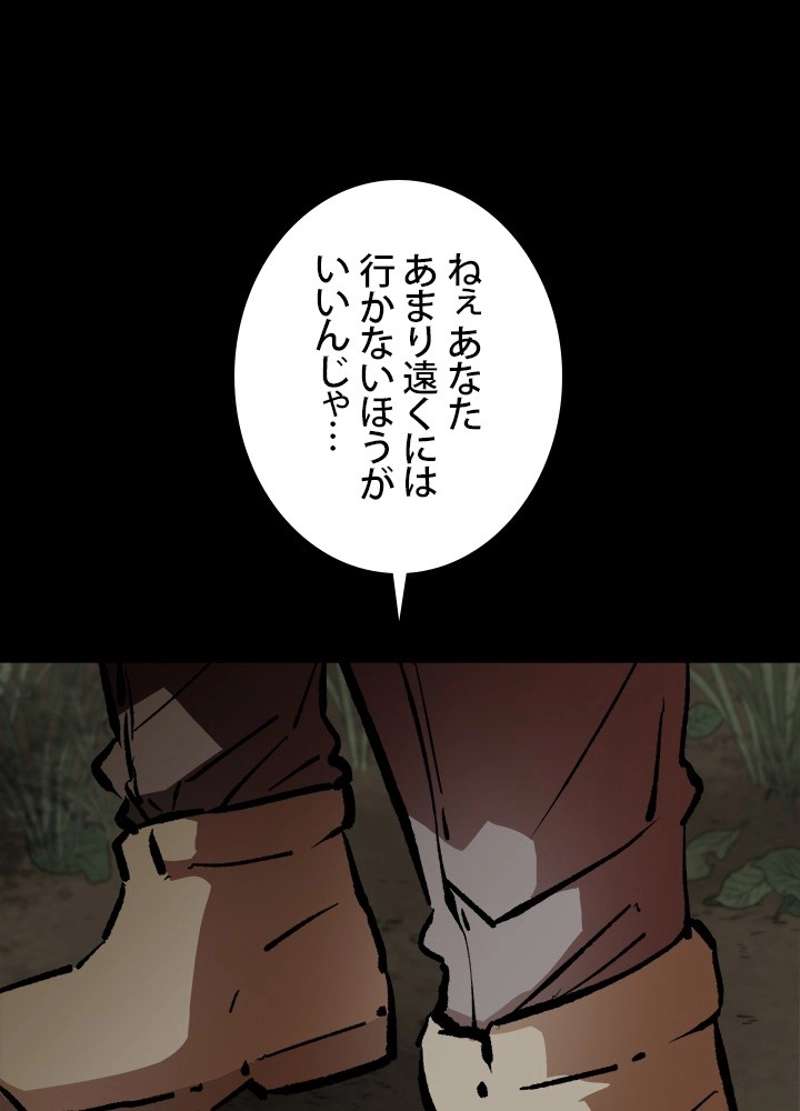 P66