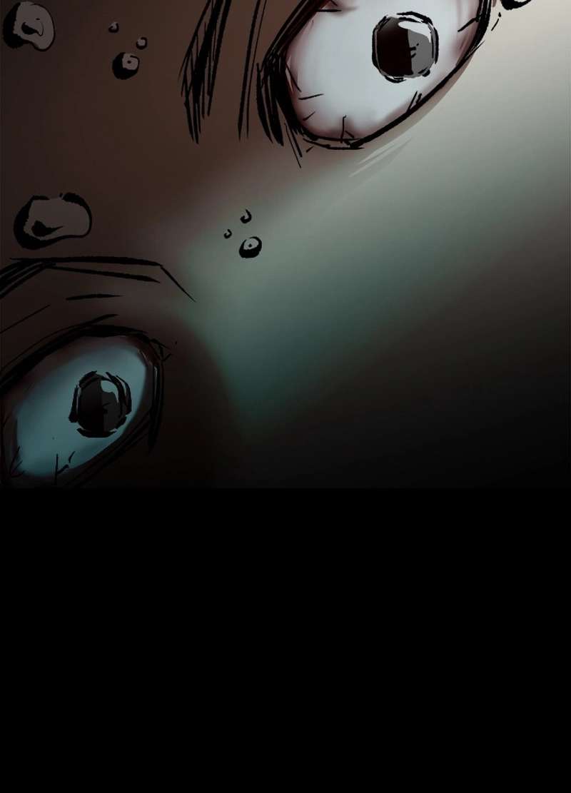 P53