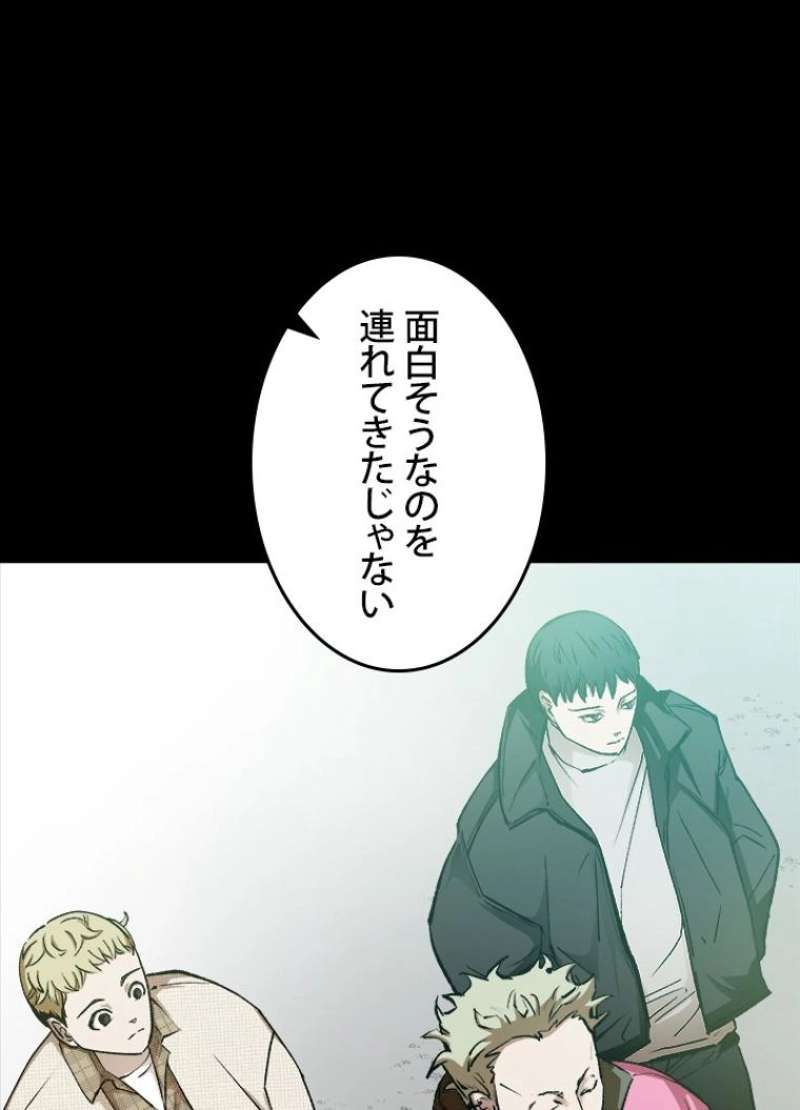 P66